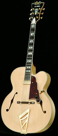 D'Angelico Excel-EXL1