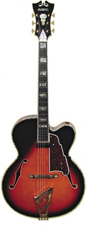 D'Angelico Excel-EXL1